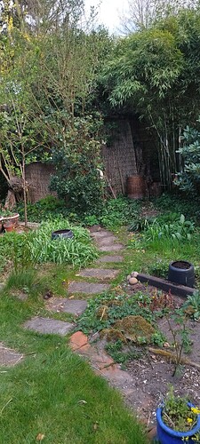 IMG_20250415_155318