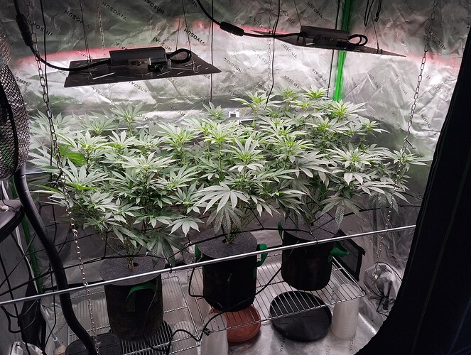 Growreport Bild 12