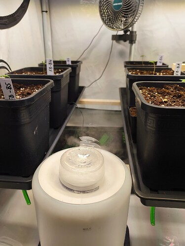 Growreport Bild 16