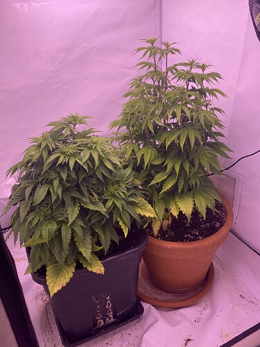 Growreport Bild 10