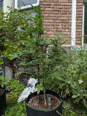 Growreport Bild 4
