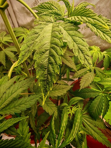 Growreport Bild 7