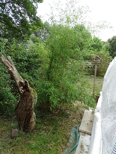 Growreport Bild 23