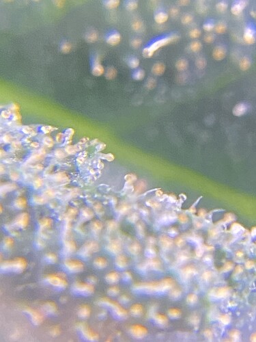 Growreport Bild 11
