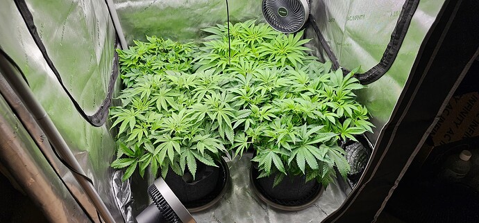 Growreport Bild 16