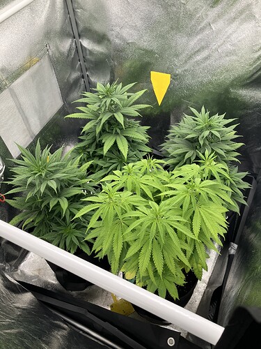 Growreport Bild 5