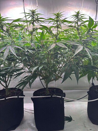 Growreport Bild 10