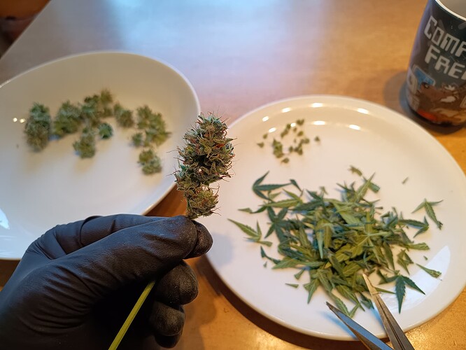 Growreport Bild 7