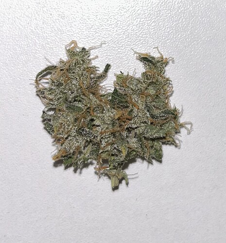 Growreport Bild 24
