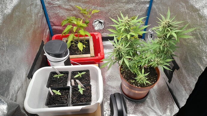 Growreport Bild 1