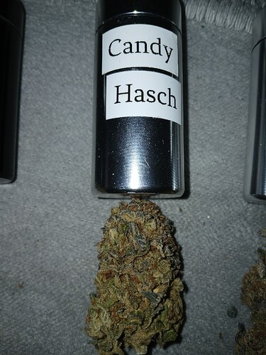 Growreport Bild 26