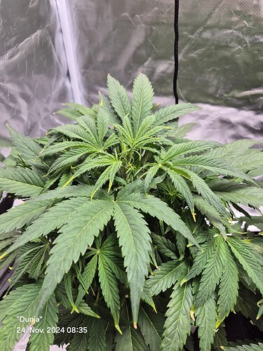Growreport Bild 12
