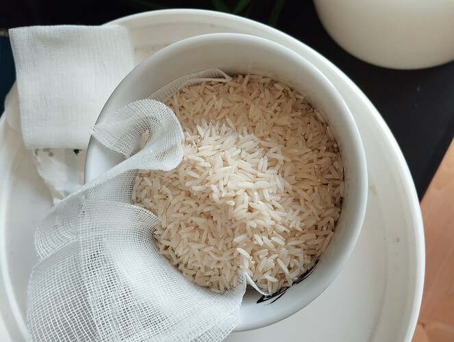 IMG_20240811_142034 - Kopie