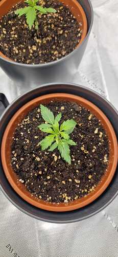 WhatsApp Bild 2024-04-15 um 12.38.28_26978212