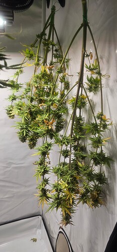 Growreport Bild 13