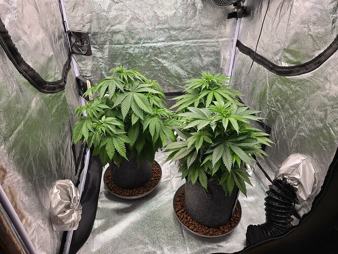Growreport Bild 1