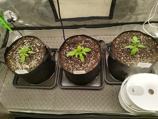 Growreport Bild 7