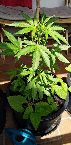Growreport Bild 20
