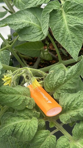 Growreport Bild 3