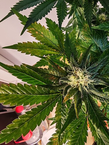 Growreport Bild 1