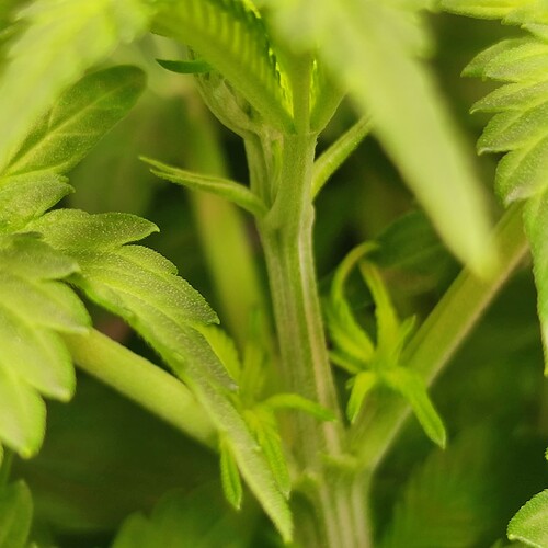 Growreport Bild 4