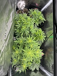 Growreport Bild 23