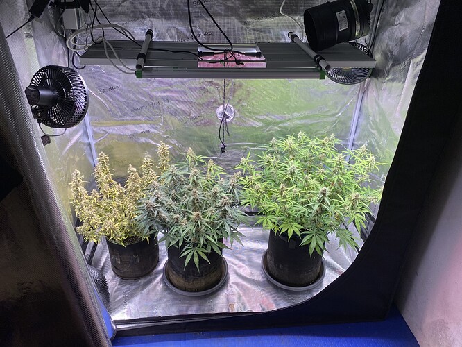 Growreport Bild 1