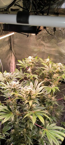 Growreport Bild 8