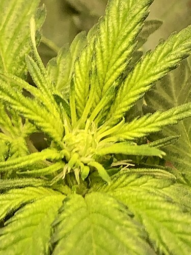 Growreport Bild 10