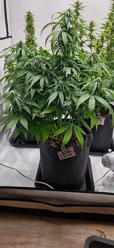 Growreport Bild 14