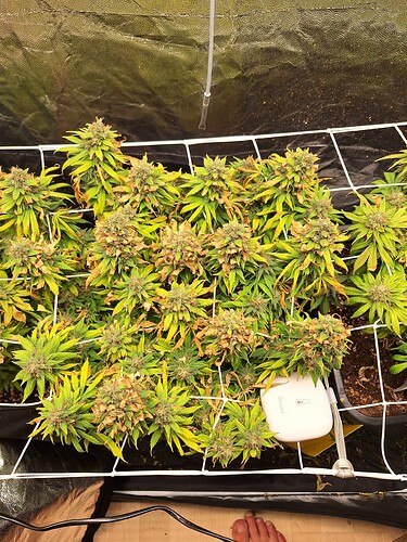 Growreport Bild 9