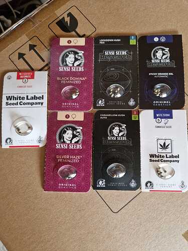 WhatsApp Bild 2024-05-04 um 14.05.43_48673a08