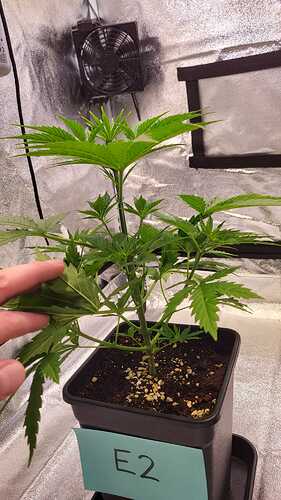 Growreport Bild 22