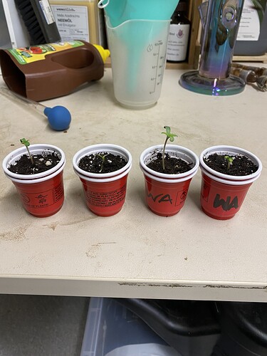 Growreport Bild 15
