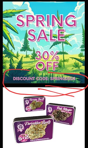 Screenshot_20240619-171500_Samsung Internet