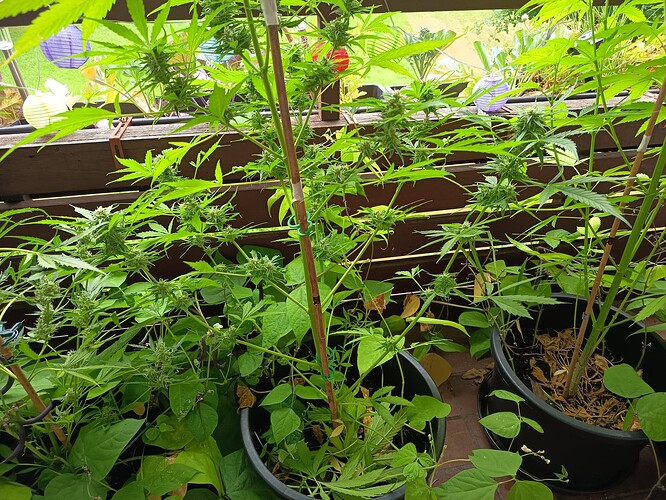 Growreport Bild 11