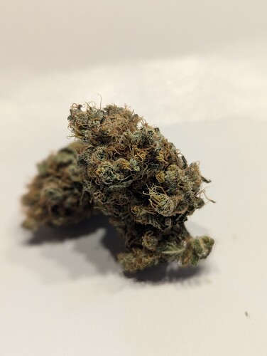 PXL_20251005_080844249.PORTRAIT