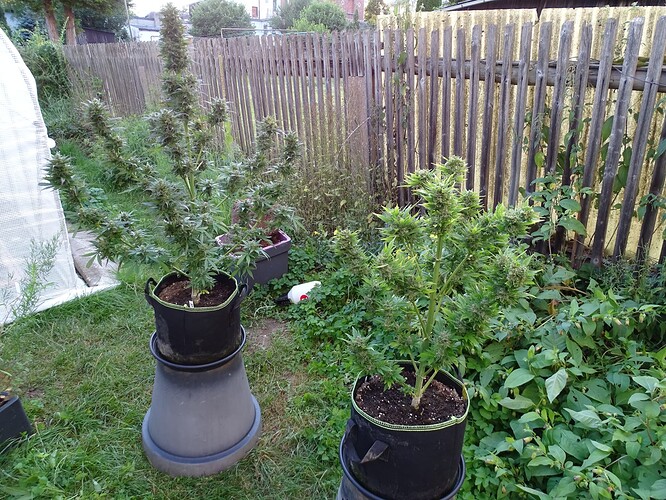 Growreport Bild 22