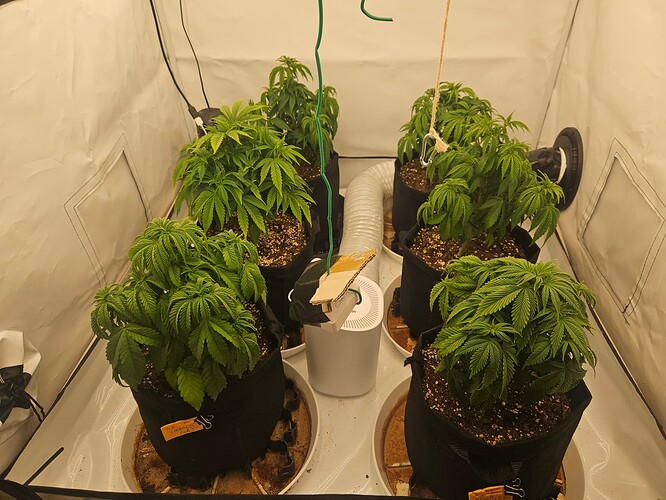 Growreport Bild 30