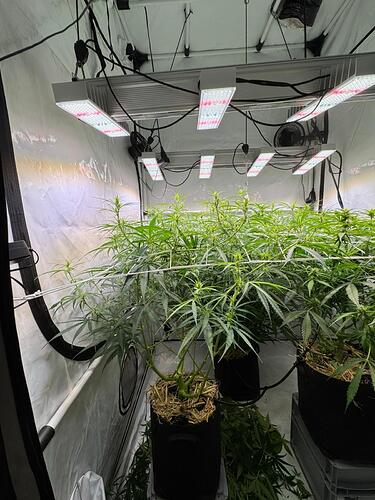 Growreport Bild 14