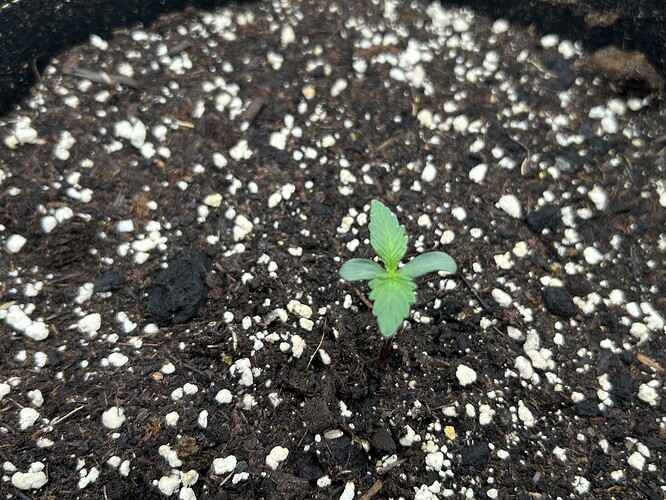 Growreport Bild 4