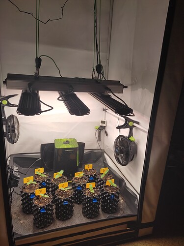 Growreport Bild 2