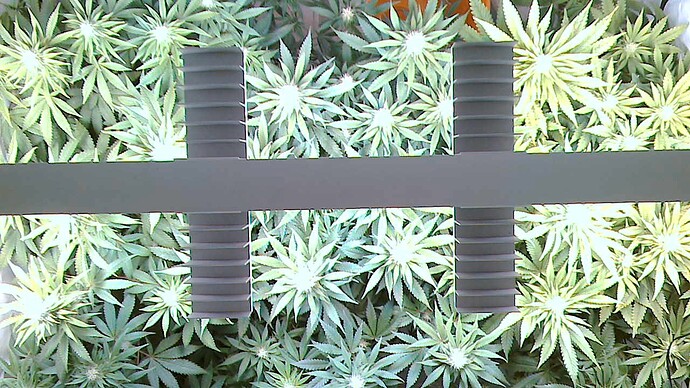 Growreport Bild 6