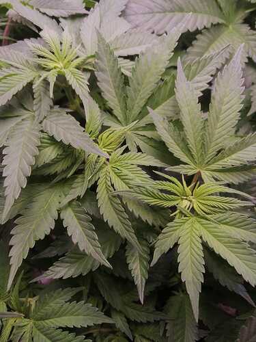 WhatsApp Bild 2024-04-26 um 12.54.12_5dcc2f39