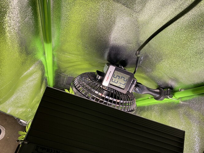 Growreport Bild 19