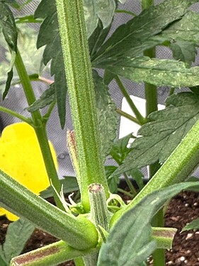 Growreport Bild 20