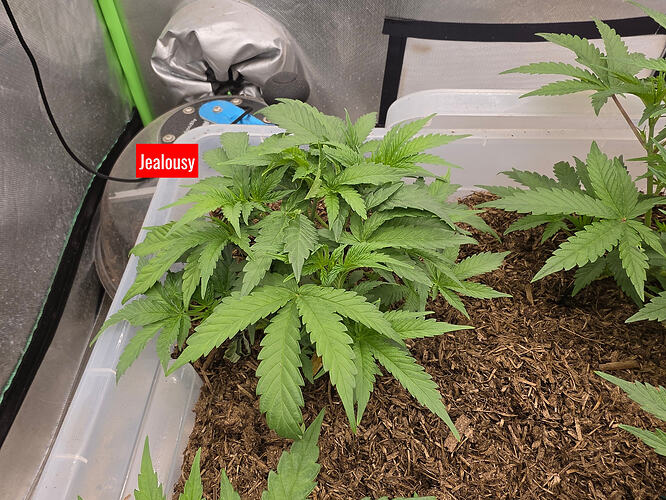 20260307_213445_edited_