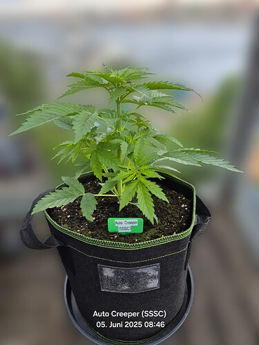 Growreport Bild 4