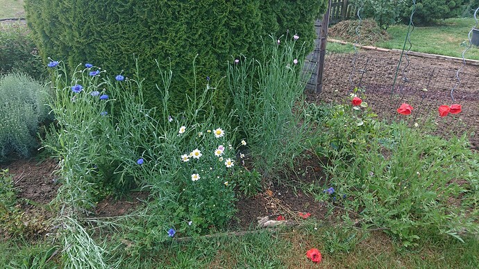 Growreport Bild 16