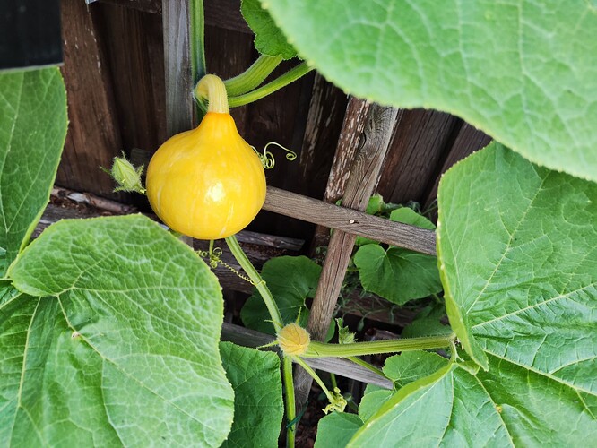 Growreport Bild 33